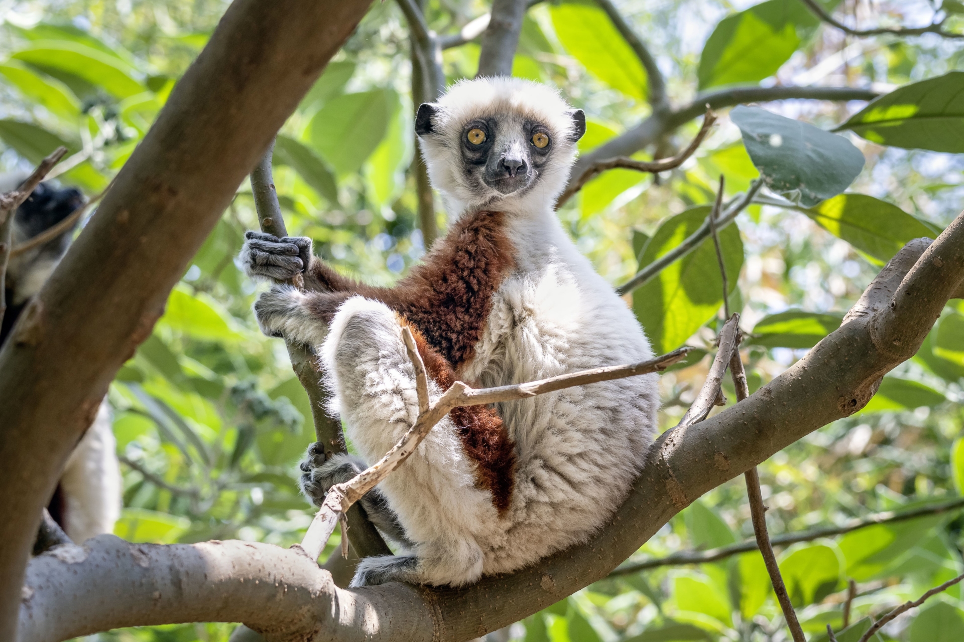 Notre Agence Locale à Madagascar